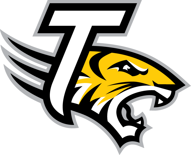 Towson Tigers 2004-Pres Alternate Logo v5 diy iron on heat transfer